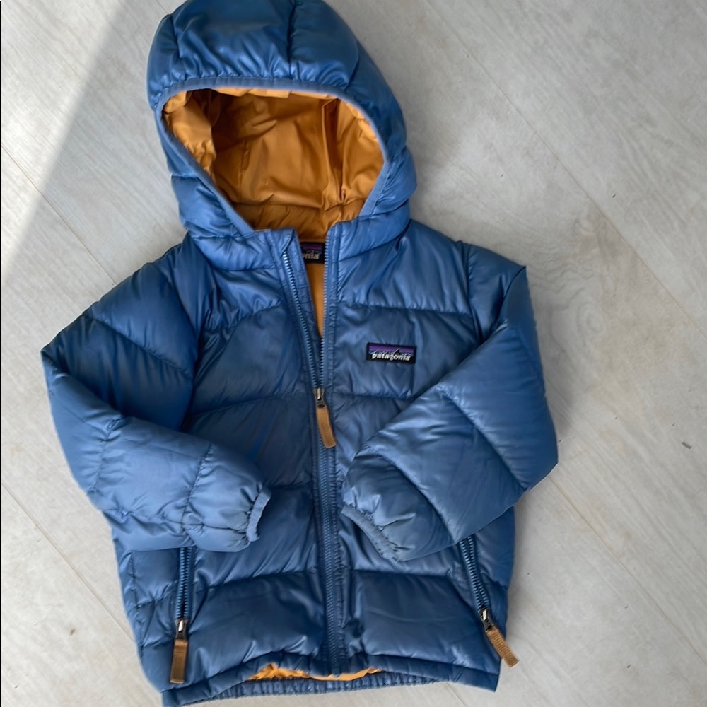 Patagonia Blue Hooded Puffer Jacket